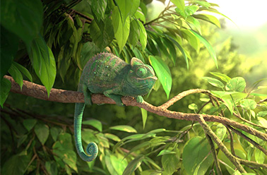 Our wonderfull nature