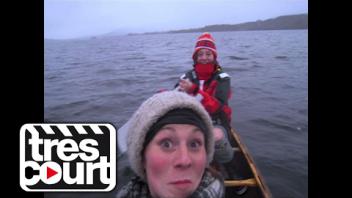 Quand la nature vous gagne - Murmuration