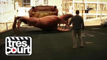 Fish Attack - Slightly Fishy