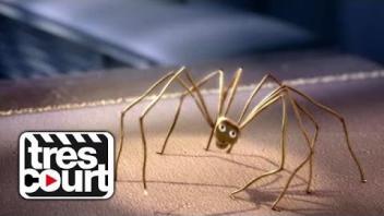 Fly and Flowers - Tres Court