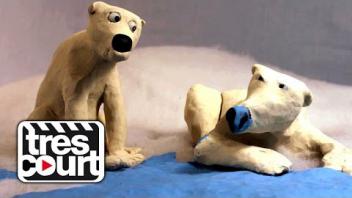 Cache-cache dans la neige - Polar Where ?