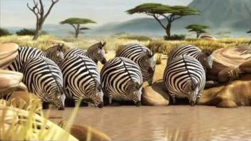 ROLLIN' SAFARI - four official Trailers ITFS 2013 and fmx 2013