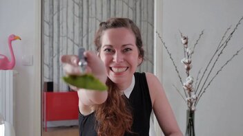 J'arrête l'avocat | Défi 48h Très Court #1